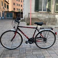 Bicicletta da uomo