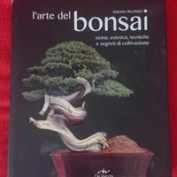 L'arte del Bonsai