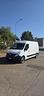 renault-master
