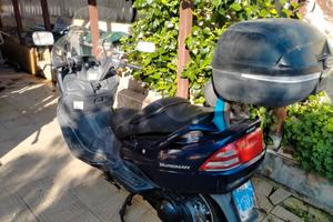 Suzuki Burgman 250 Business (2002)