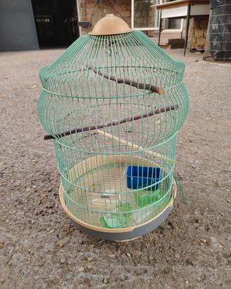 Gabbia per pappagalli 