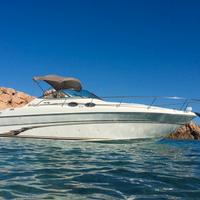 Imbarcazione Sea Ray 270