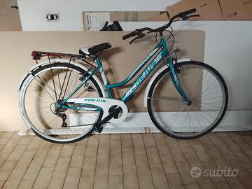 Coppia di biciclette