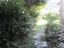 Immagine 18