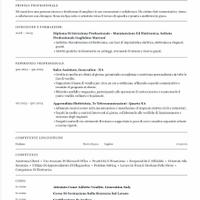 Diplomato in Elettronica e Manutenzione