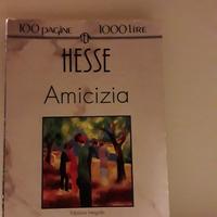 HESSE Amicizia