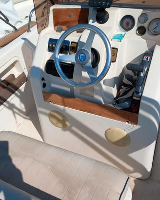 Barca TB Freestyle 21 con Motore Evinrude 90 E-tec