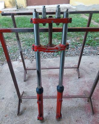 forcella CORTE COSSO  TGM 250 C80