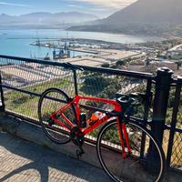Bici da corsa giant
