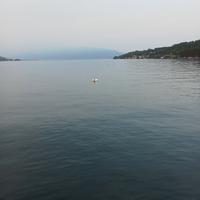 Automunito Mantova e provincia