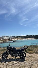 Honda CBF 500 - 2004