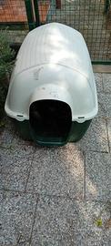 Cuccia Cane