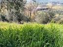 piccolo-lotto-di-terreno