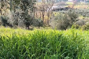 Piccolo lotto di terreno