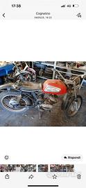 Harley-Davidson Altro modello - Anni 60