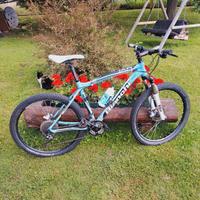 Mountain bike Bianchi