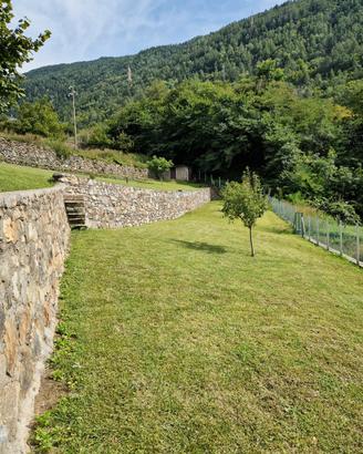 Terreno agricolo 18.000,00 TRATTABILE