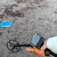 metal detector Garrett apex