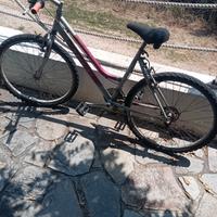 Mountain bike femminile 