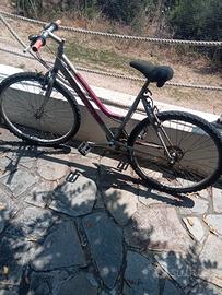 Mountain bike femminile 