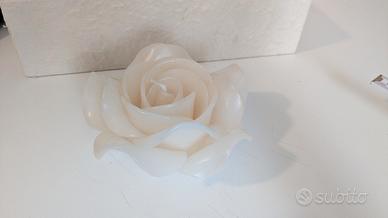 candele rose bianche