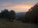 terreno-agricolo-a-rose