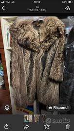 Pelliccia marmotta