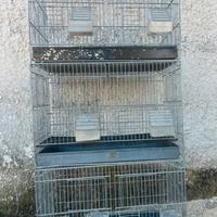 Gabbie per pappagalli