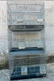 Gabbie per pappagalli