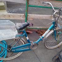 bici marilu 