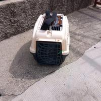 Trasportino per animali