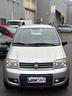 fiat-panda-1-2-4x4-climbing-neopatentati