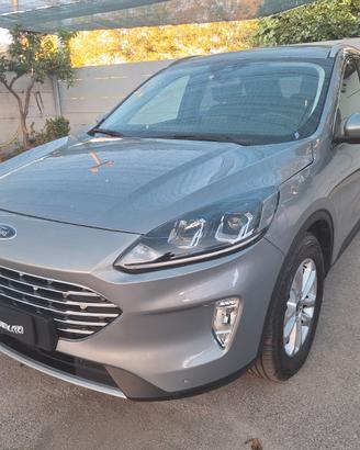 Ford Kuga 1.5 EcoBlue 120 CV aut. 2WD Titanium Bus