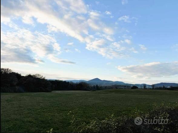 Terreno di 32900 m² a Trevignano Romano - Vista 3