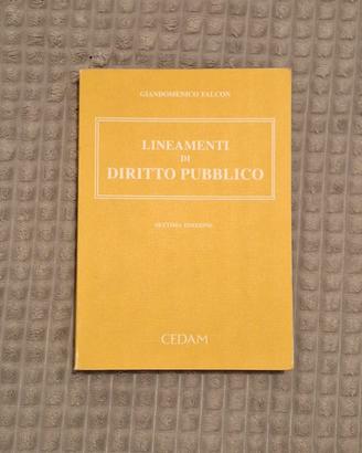 Lineamenti di diritto pubblico