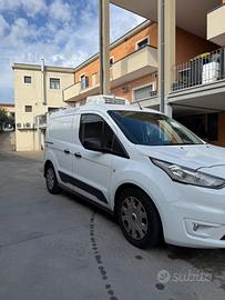 Ford Transit connect refrigerato 2021