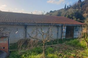 Annesso agricolo con terreno  trasformabile