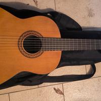 chitarra 🎸
