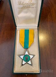 Medaglia Stella al merito del lavoro argento