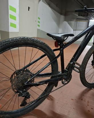 Bic front Orbea
