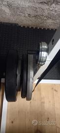 Rack manubri bilancieri dischi 50mm olimpionico