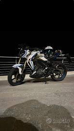 Rkf 125 (2024)