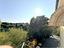 Immagine 21
