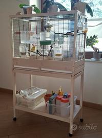 gabbia per uccelli
