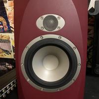 Casse Monitor da Tannoy reveal 6p