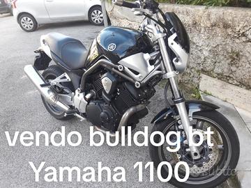 Yamaha bulldog 1100