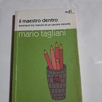 Libro Il maestro dentro Mario Tagliani come da fot