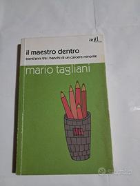 Libro Il maestro dentro Mario Tagliani come da fot