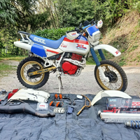 Honda XL 600 LM dakar FMI