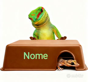 tana grotta nascondiglio personalizzata